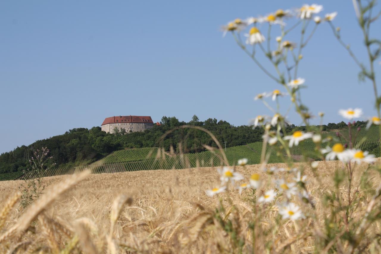 Schwarzer Adler - Hotel Garni Ipsheim Esterno foto